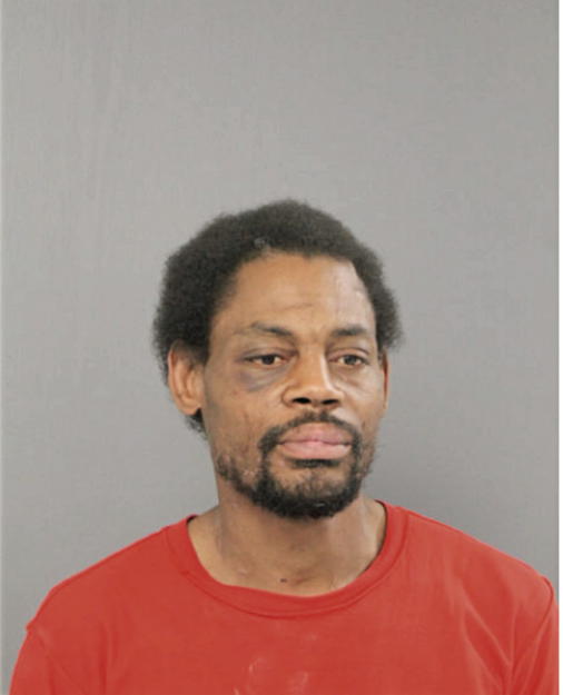 DONYELL A AUSTIN, Cook County, Illinois