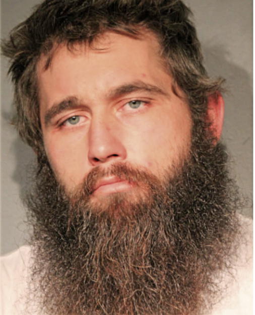 ANDREW P BEERS, Cook County, Illinois