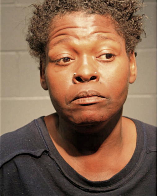 LISA L BOOSE, Cook County, Illinois
