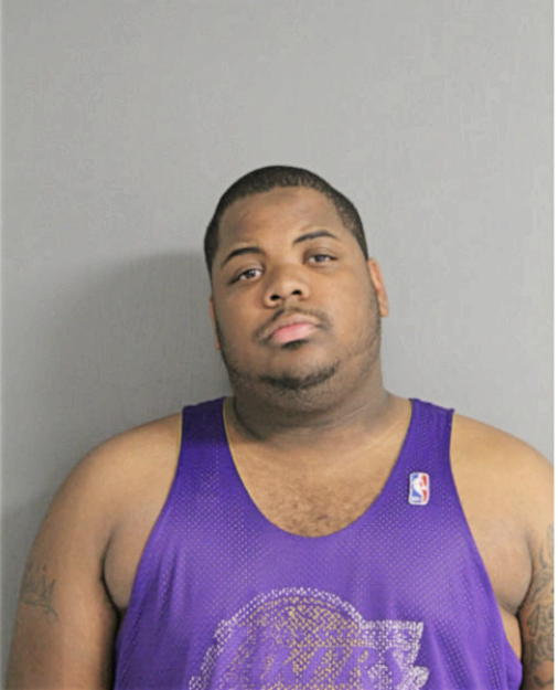 IAN A BOWYER, Cook County, Illinois