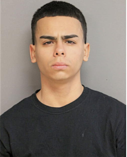 SAMUEL CARMOLINGA, Cook County, Illinois