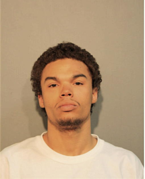 TRENTON H DAVIES, Cook County, Illinois