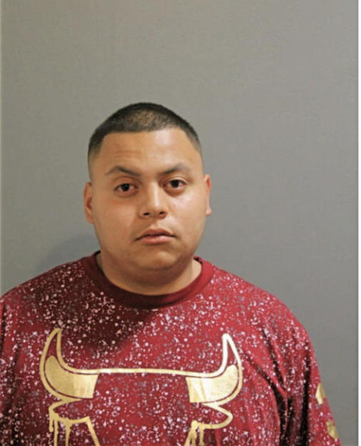 DAVID DIAZ, Cook County, Illinois