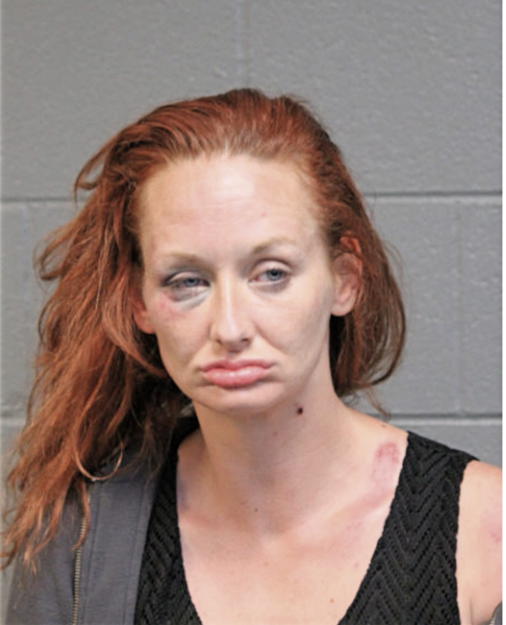 NICOLETTE M DIX, Cook County, Illinois