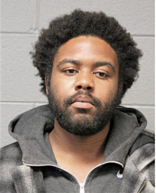 COURTNEY L ELLIS, Cook County, Illinois