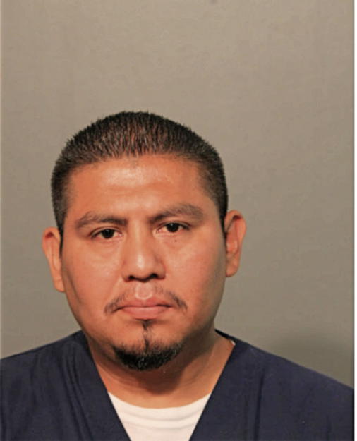 JOSE G ESCALANTELUNA, Cook County, Illinois