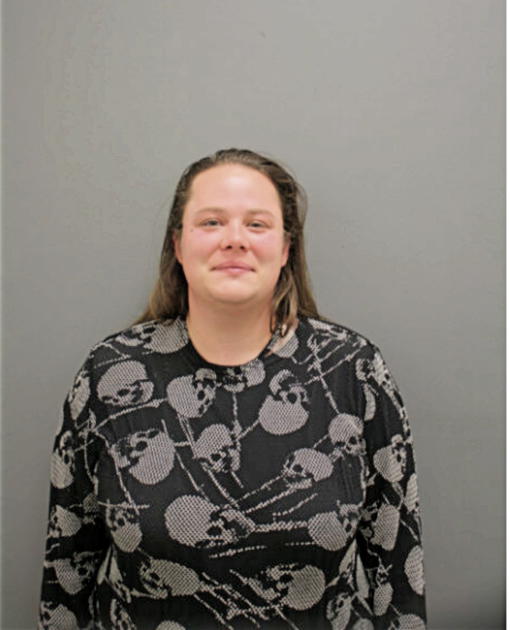 ASHLEY N EVANS, Cook County, Illinois
