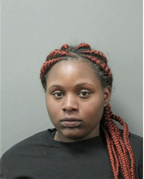 TONI MAYA FLAX, Cook County, Illinois