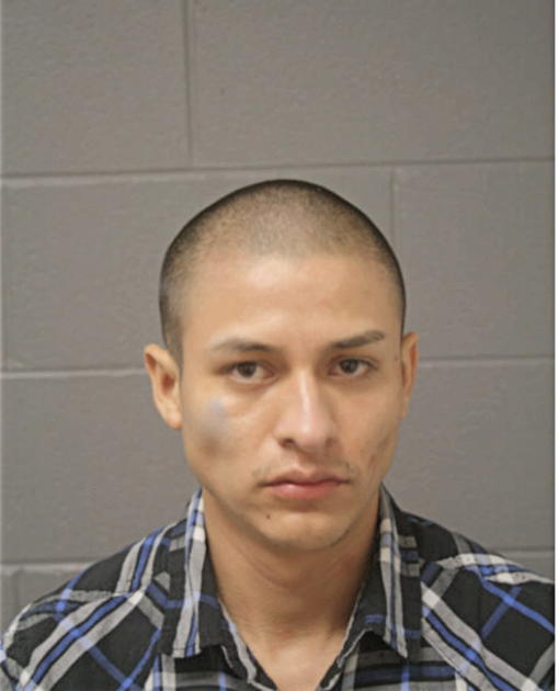 LUCIO FUENTES, Cook County, Illinois