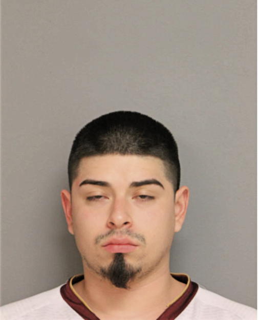 ANDY GARCIA, Cook County, Illinois