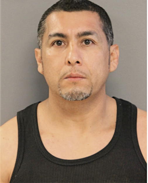 MARLON G GARCIA, Cook County, Illinois