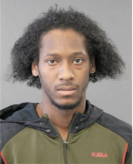 DESHON GEORGE, Cook County, Illinois