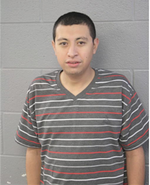 FIDEL HUERTA, Cook County, Illinois