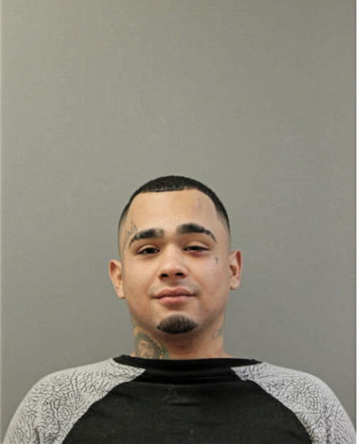 DAVID J JIMENEZ, Cook County, Illinois
