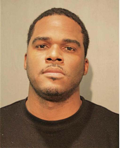NATHAN R JOHNSON, Cook County, Illinois