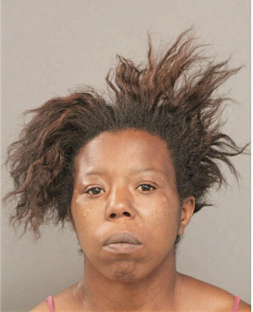 SHANEKA M JOHNSON, Cook County, Illinois