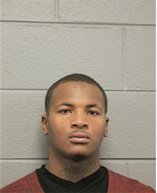 TERRENCE L JOHNSON, Cook County, Illinois