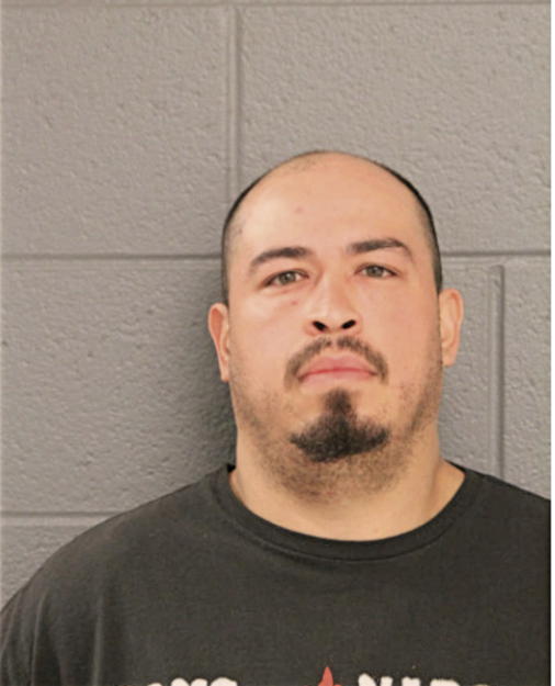 FERNANDO LINARES, Cook County, Illinois