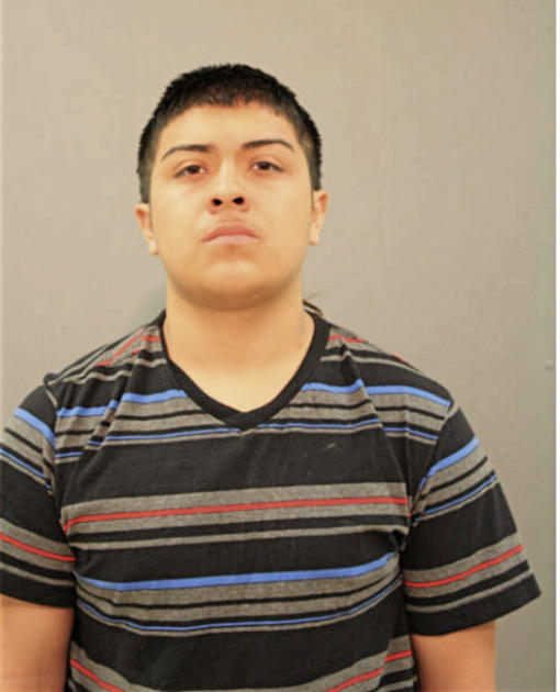 DYLAN MEJIA, Cook County, Illinois