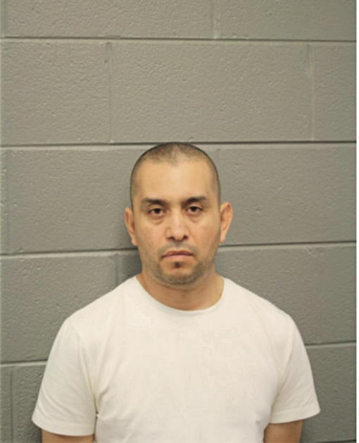 ROLANDO MEJIA, Cook County, Illinois
