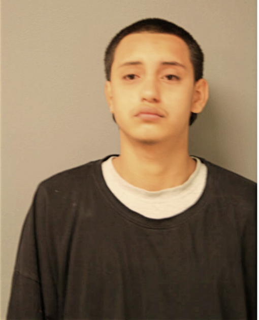 EDILBERTO MENDOZA, Cook County, Illinois