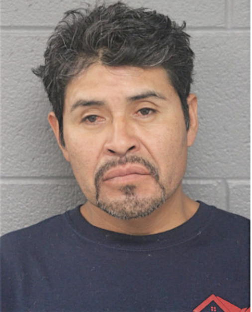 NOEL NAVARETTE, Cook County, Illinois