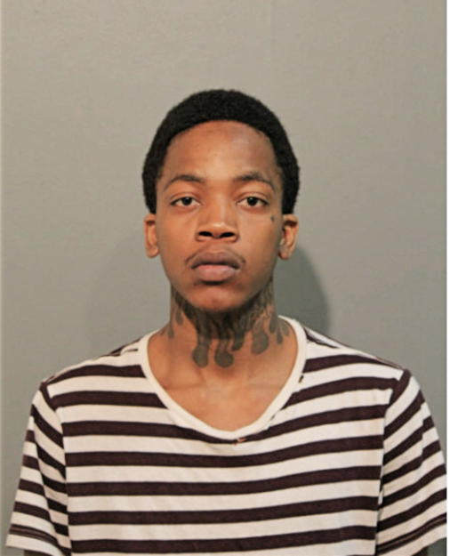 BRANDON N PAUL, Cook County, Illinois