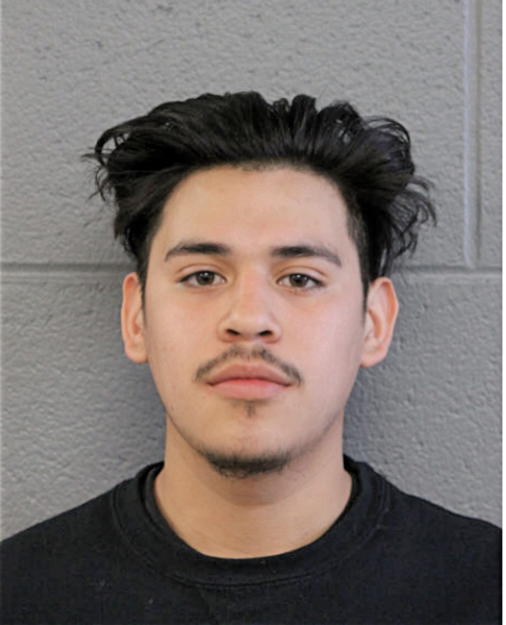 ALEJANDRO RIQUELME, Cook County, Illinois