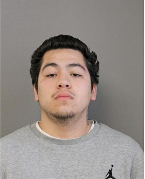 VICTOR A ROSALES, Cook County, Illinois