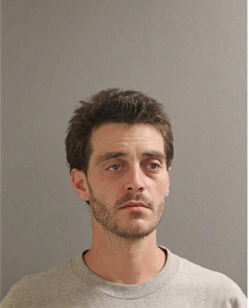 ANTHONY R SALEMI, Cook County, Illinois