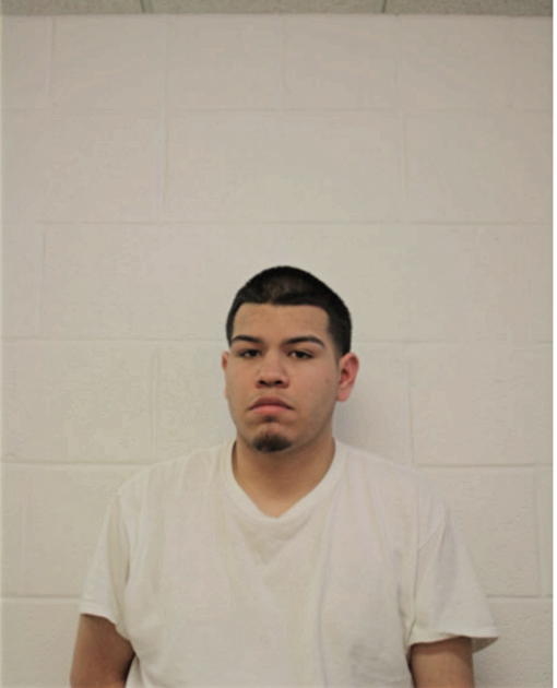 JOEL SALGADO, Cook County, Illinois