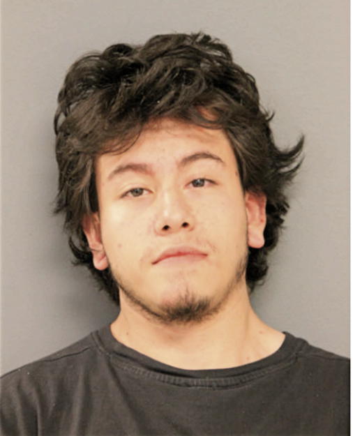 IRINEO SALINAS, Cook County, Illinois