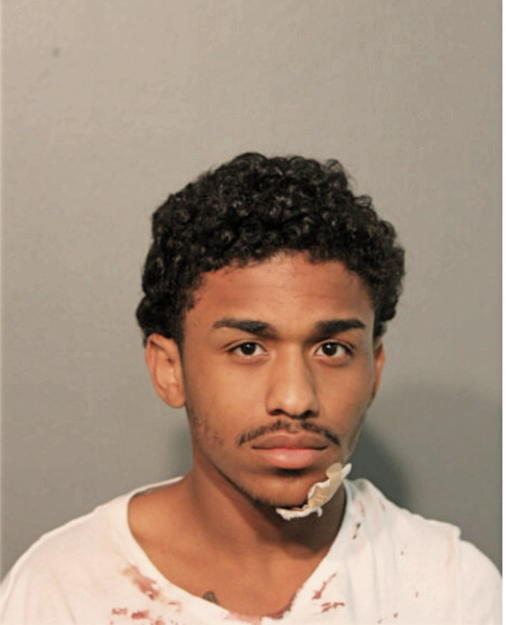 JUSTIN K TAYLOR, Cook County, Illinois