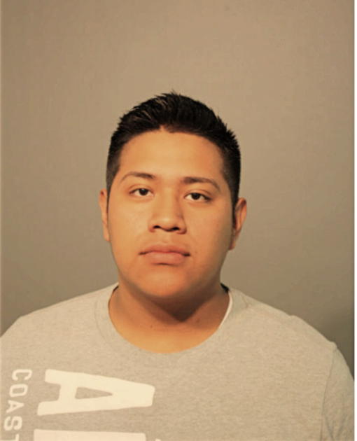 ALBERTO VARGAS, Cook County, Illinois