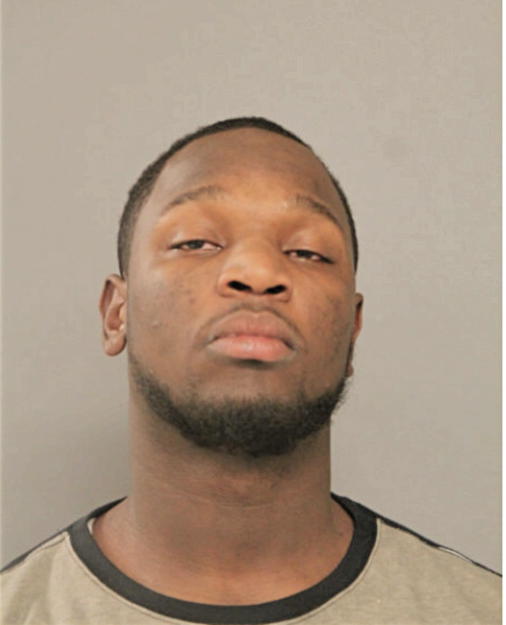 ANDRE J WHITE, Cook County, Illinois