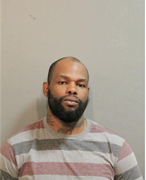BRIAN A YOUNG, Cook County, Illinois