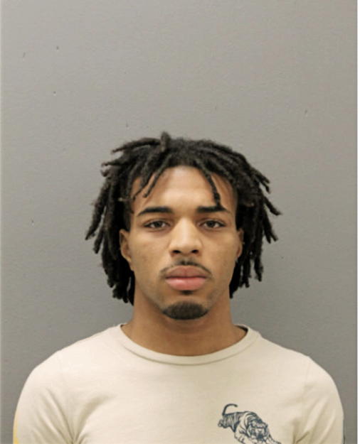 AUSTIN A WHITE, Cook County, Illinois