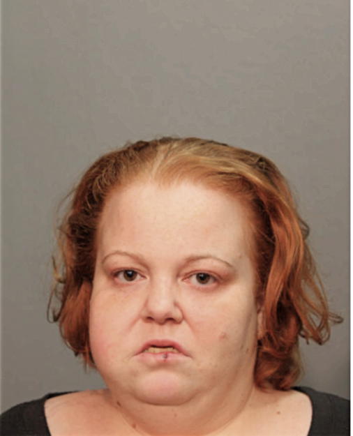 NICOLE M ANDERSON, Cook County, Illinois