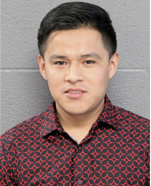JOEL BAHENA-NICASIO, Cook County, Illinois
