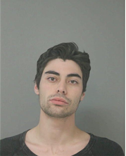BRANDON N COX, Cook County, Illinois