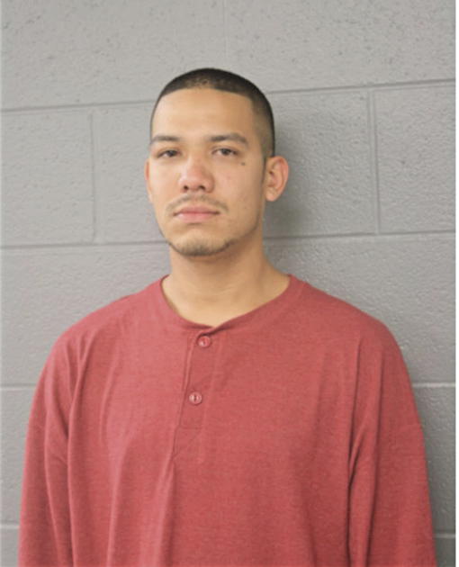 ARMANDO J DOMINGUEZ, Cook County, Illinois