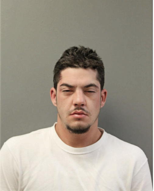 CHRISTIAN F GILBERT, Cook County, Illinois
