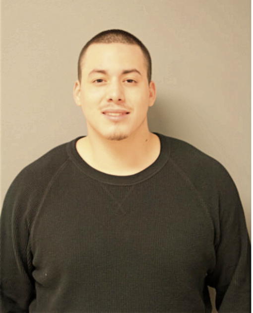 CHRISTOPHER T GRIFFIN, Cook County, Illinois