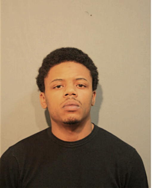 CHRISTIAN N HARDING, Cook County, Illinois