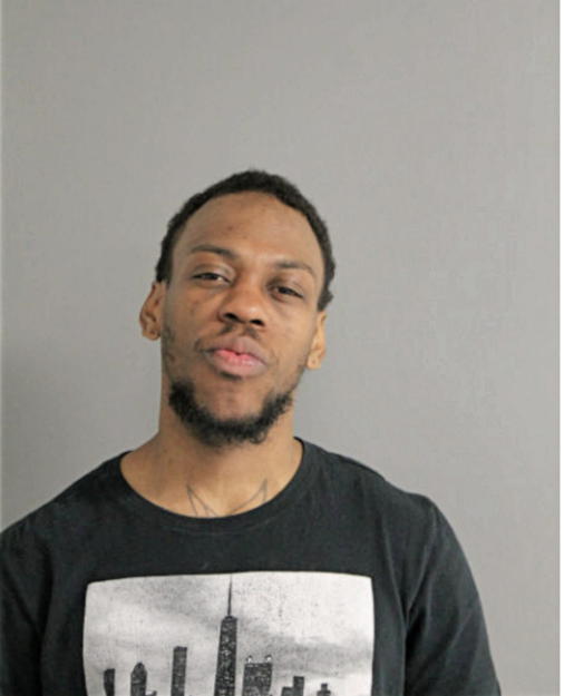 GREGORY R HUDGINS, Cook County, Illinois
