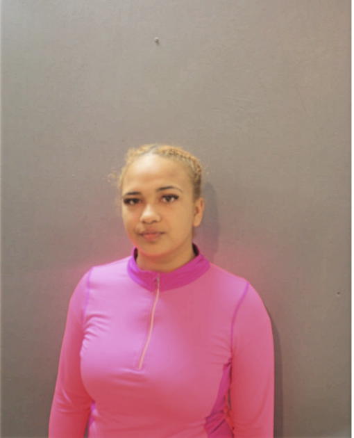 MEOSHA T JOHNSON, Cook County, Illinois