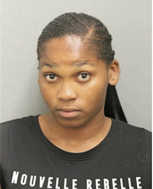 MICHELLE JOHNSON, Cook County, Illinois