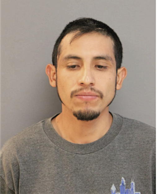 ALCADIO R MARTINEZ, Cook County, Illinois