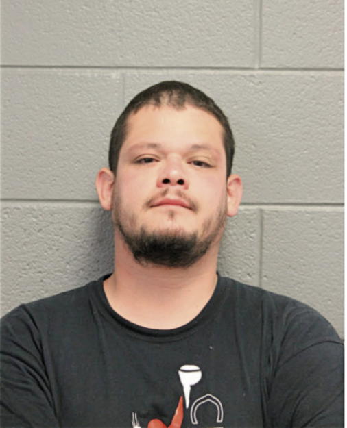 DEMETRIO MENDOZA, Cook County, Illinois