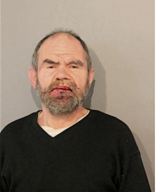 ROBERT E METZGER, Cook County, Illinois